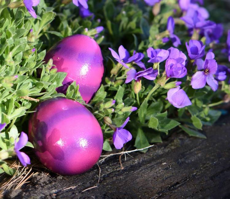 Pakiet Wielkanoc 3  noclegi w Karpaczu